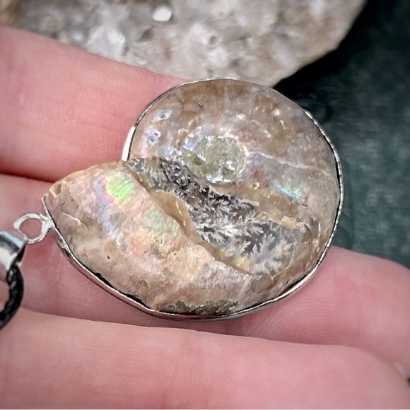 Ammonite Pendent Necklace - Picture 6 of 8